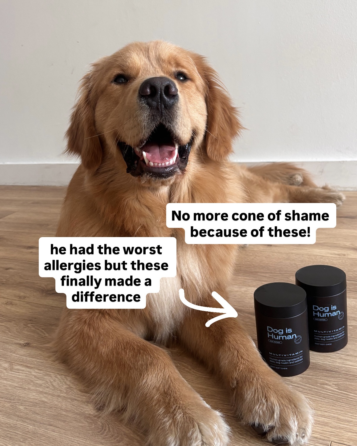 Dog is Human Facebook ad