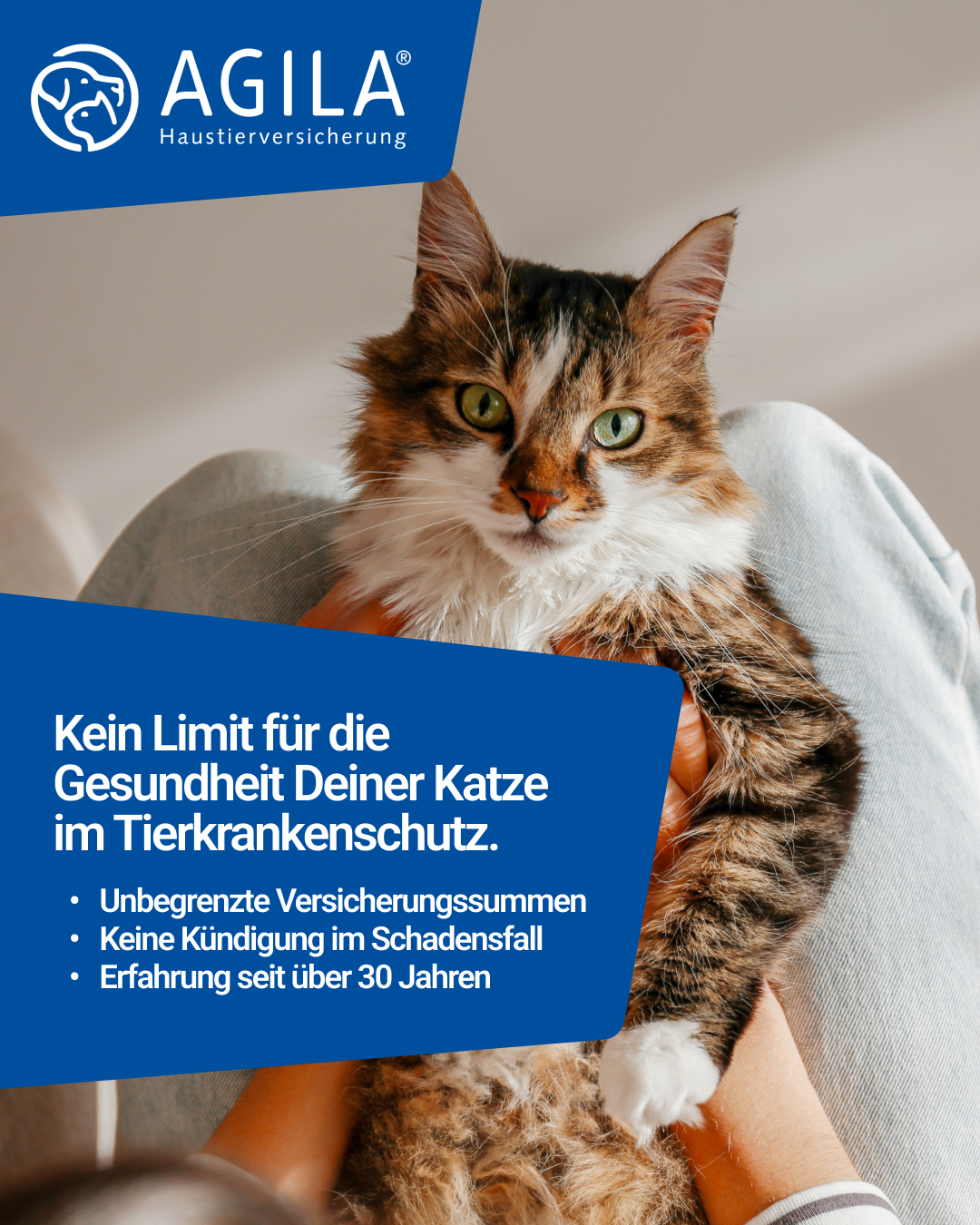 AGILA Haustierversicherung Facebook ad: AGILA Katzenversicherung