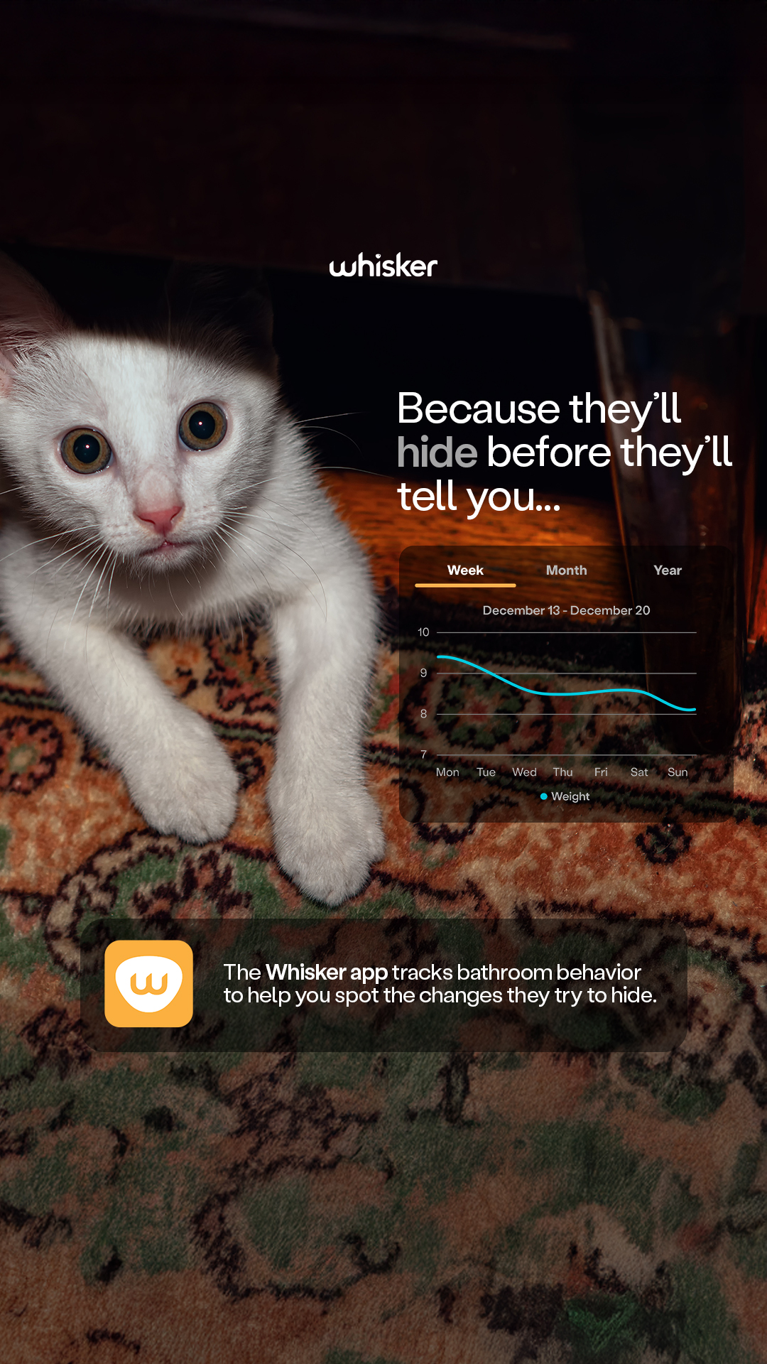 Whisker Facebook ad
