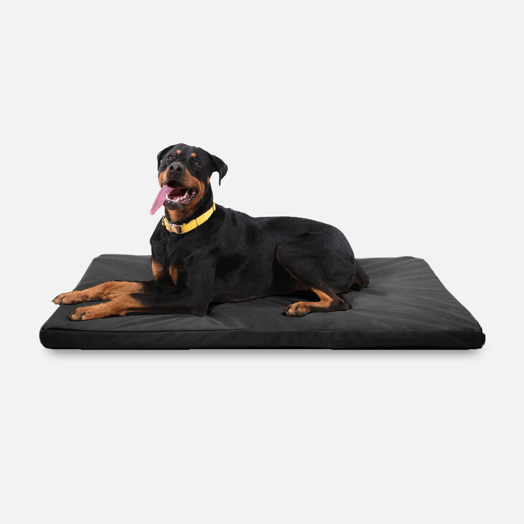 K9 Ballistics Dog Beds Facebook ad