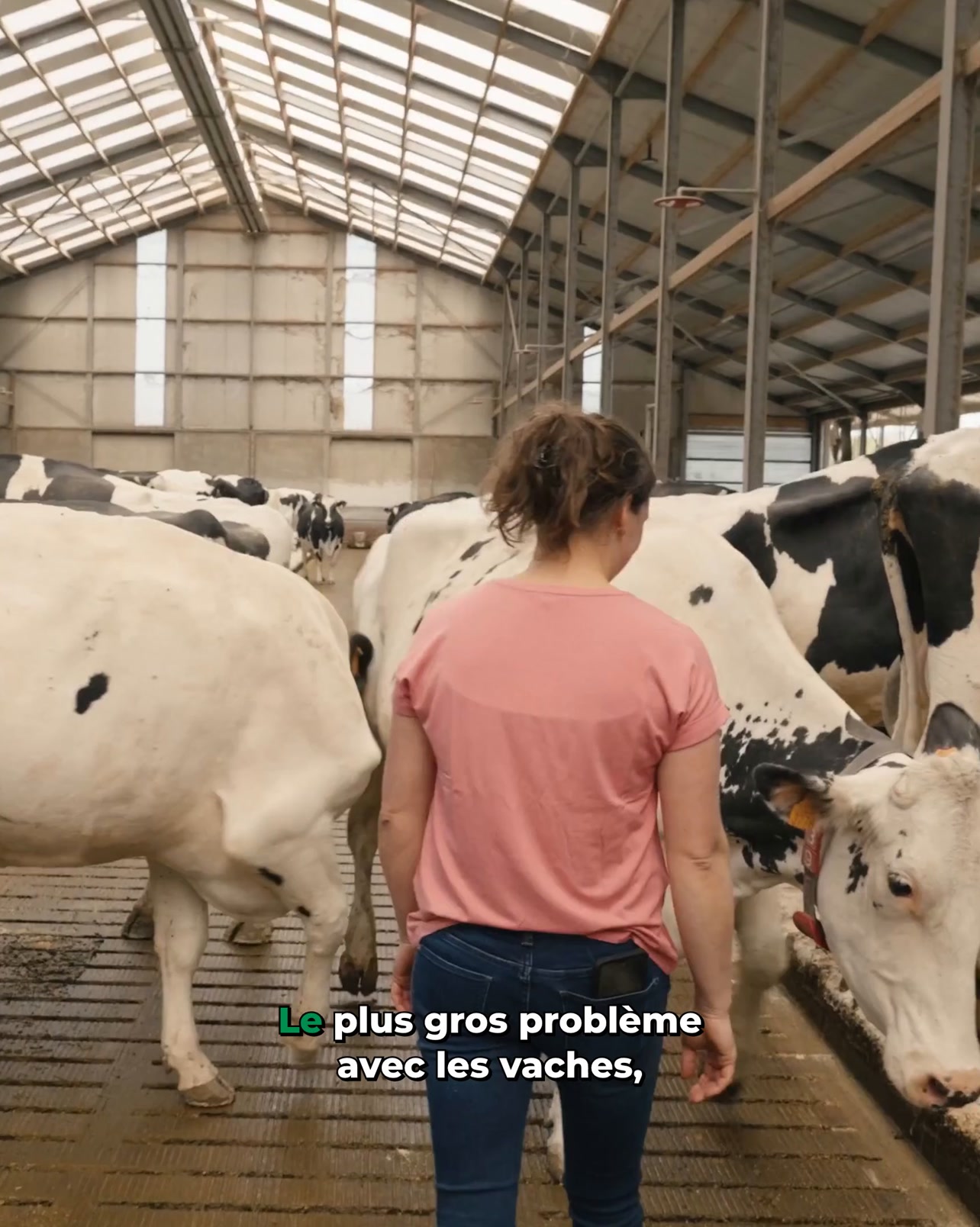 MS Schippers Facebook ad: Traitez la maladie de Mortellaro