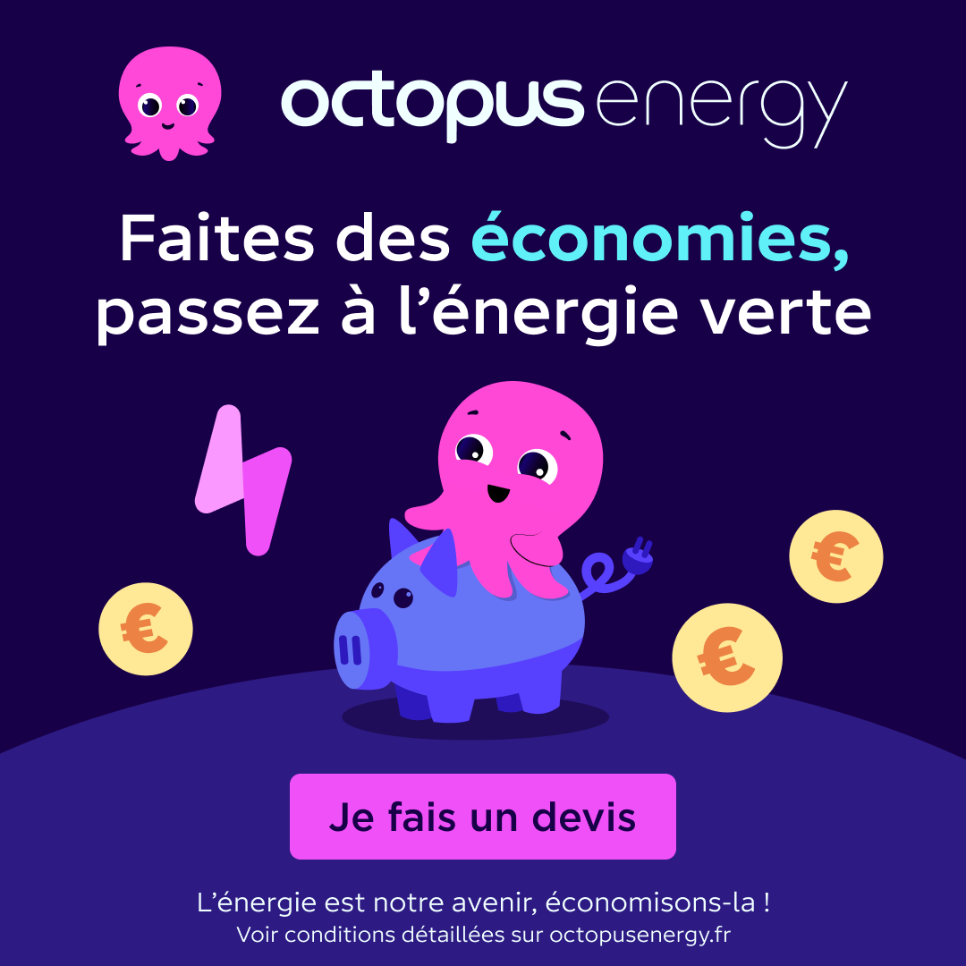 Octopus Energy Facebook ad