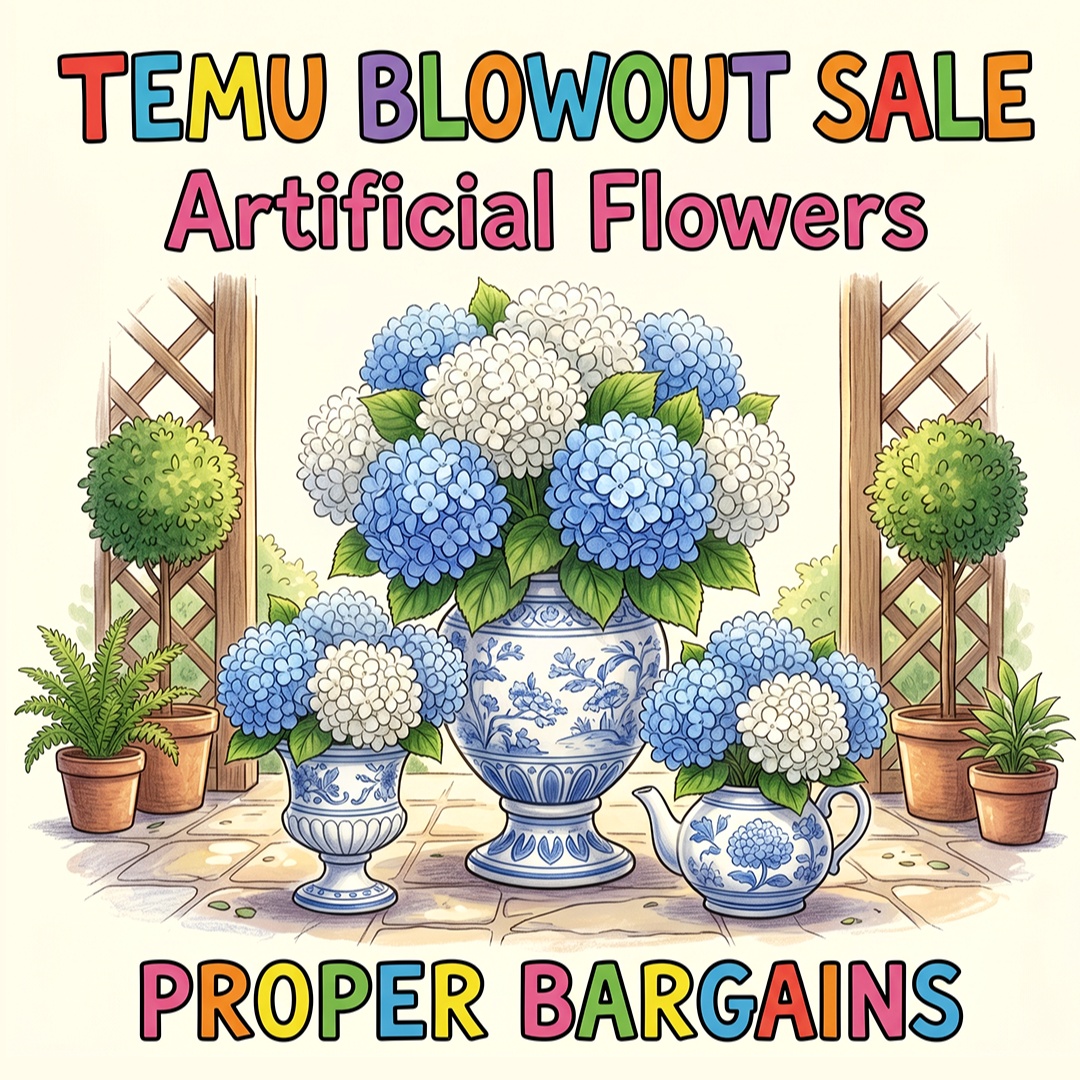 Temu.UK.TopPicks Facebook ad