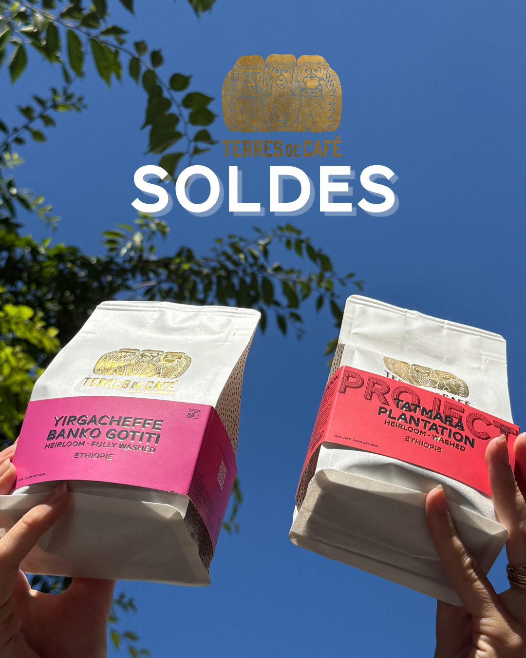 Terres de café Facebook ad