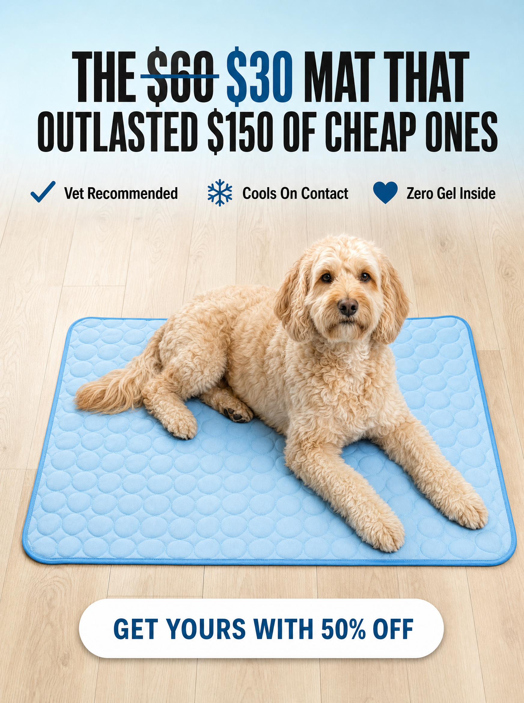 Rhykin Pet Co Facebook ad