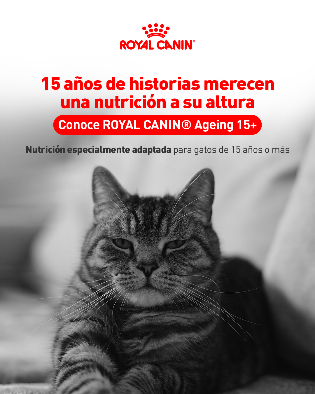 Royal Canin Facebook ad: 15 años de historias, compañía y momentos juntos.