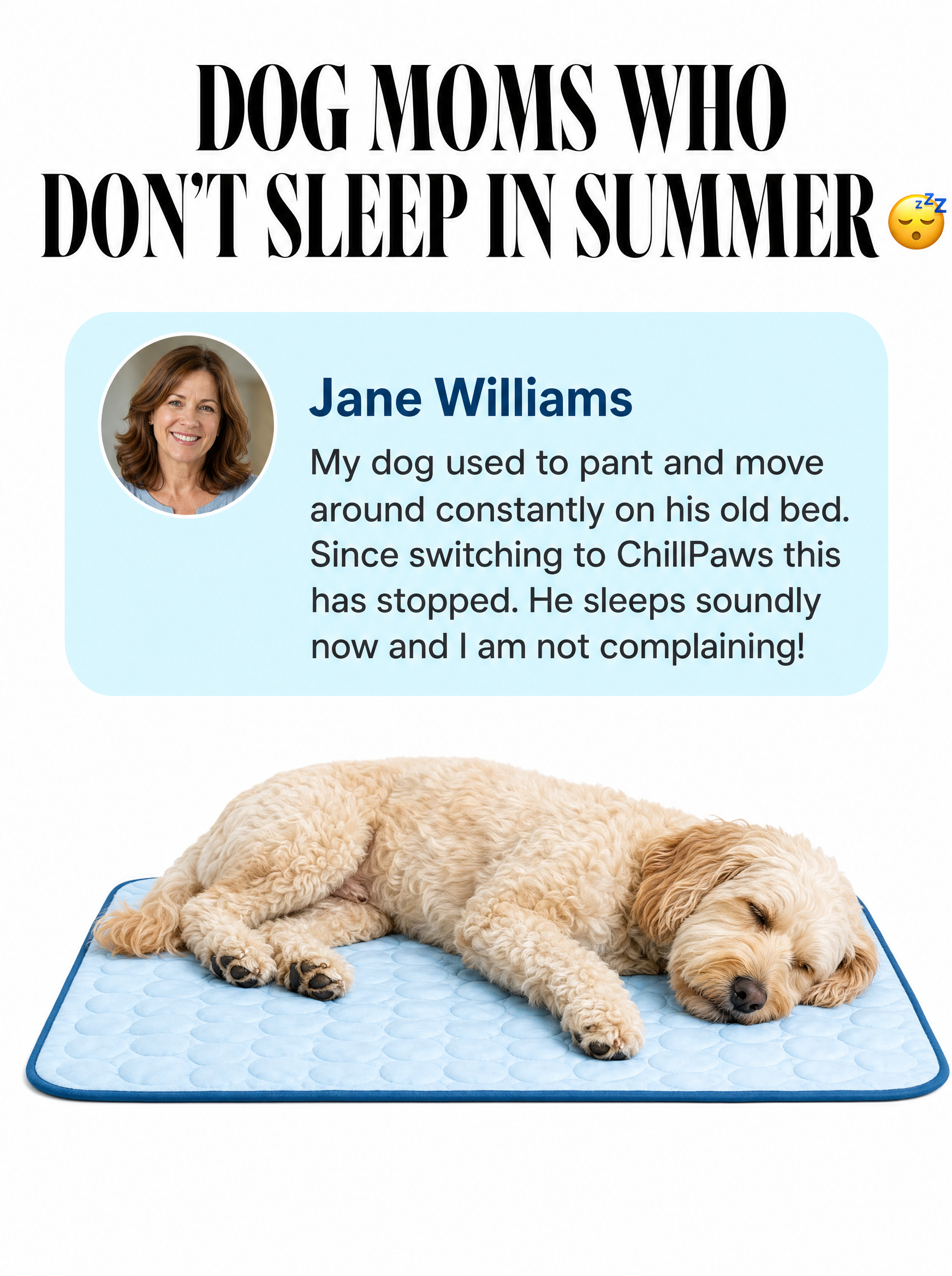 Rhykin Pet Co Facebook ad