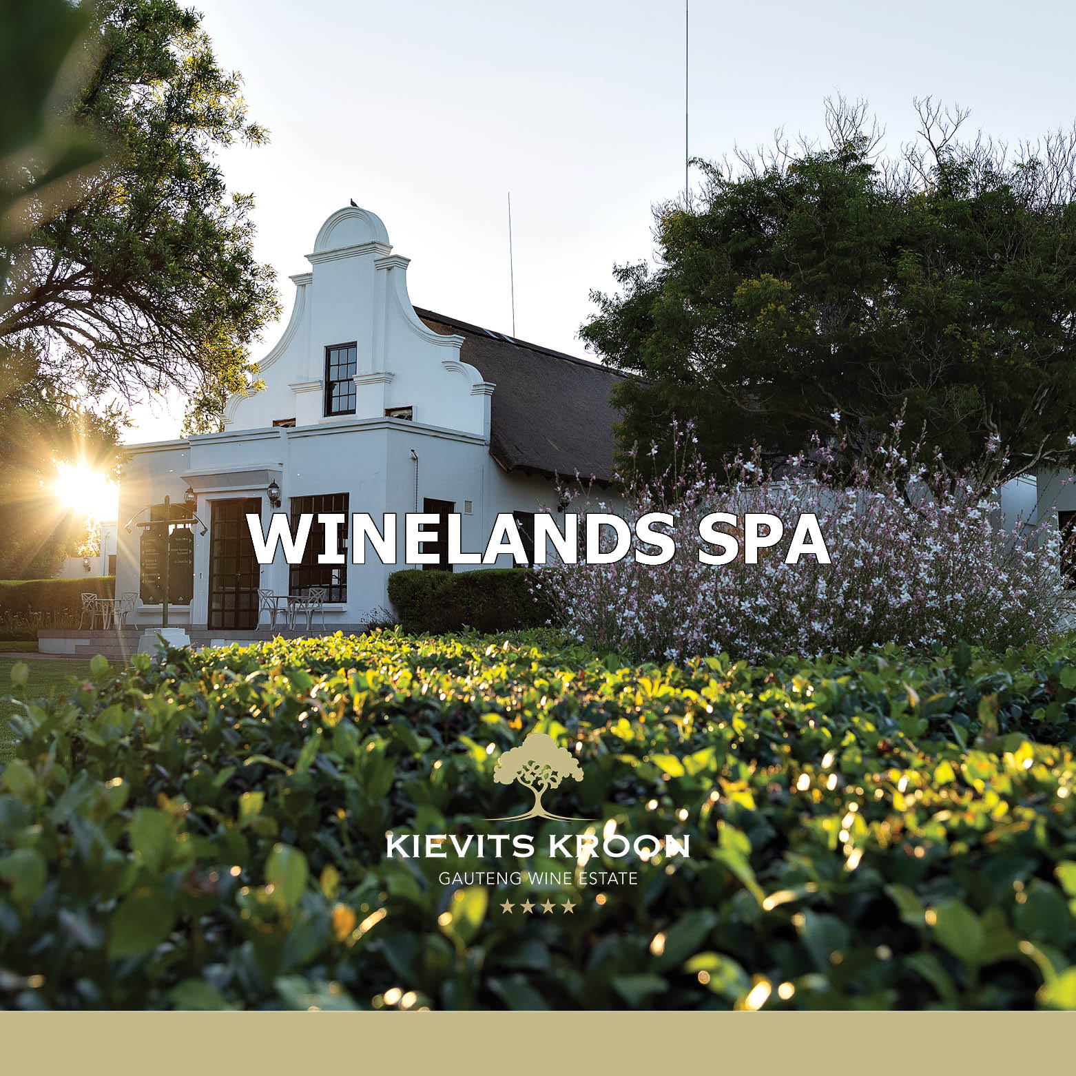 Kievits Kroon Gauteng Wine Estate Facebook ad from Feb 20, 2026