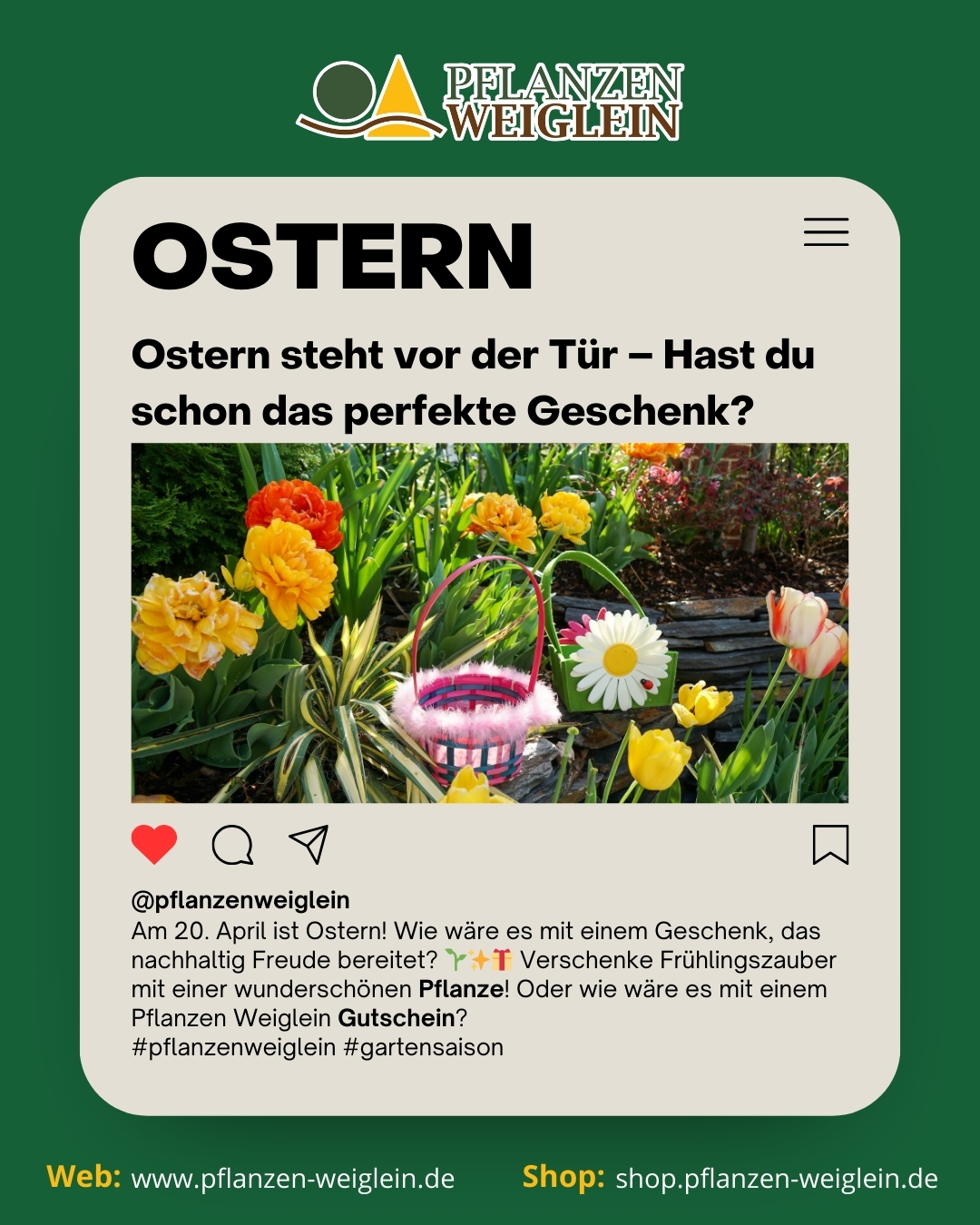 Pflanzen Weiglein Facebook ad