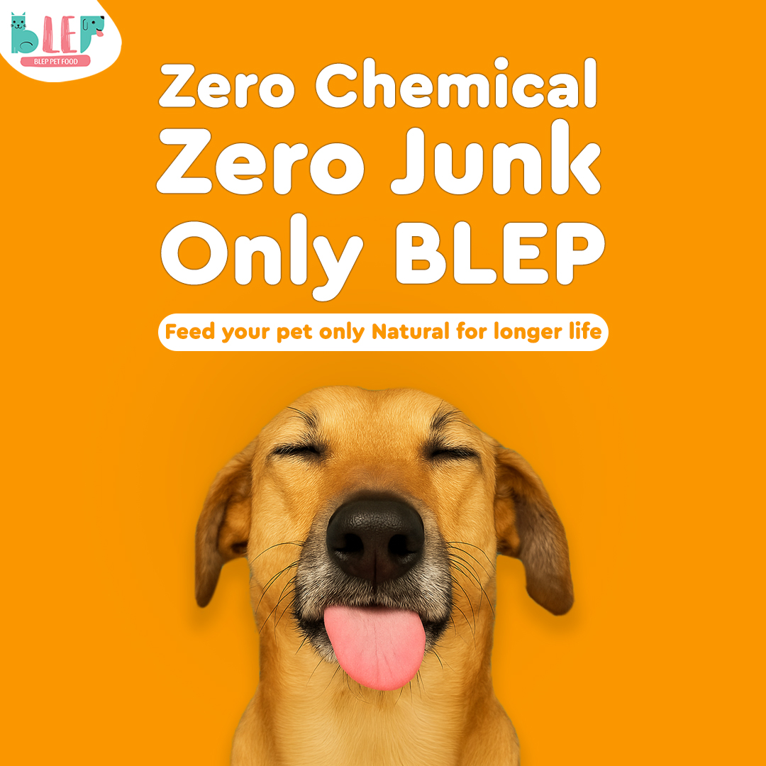 Blep Facebook ad