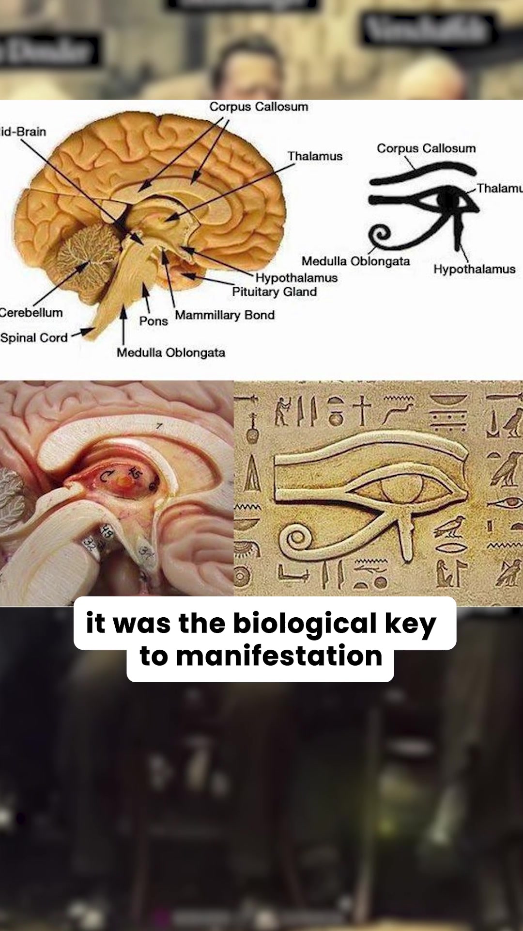 Yogi Knowledge Facebook ad: Clear Your Pineal Gland Naturally