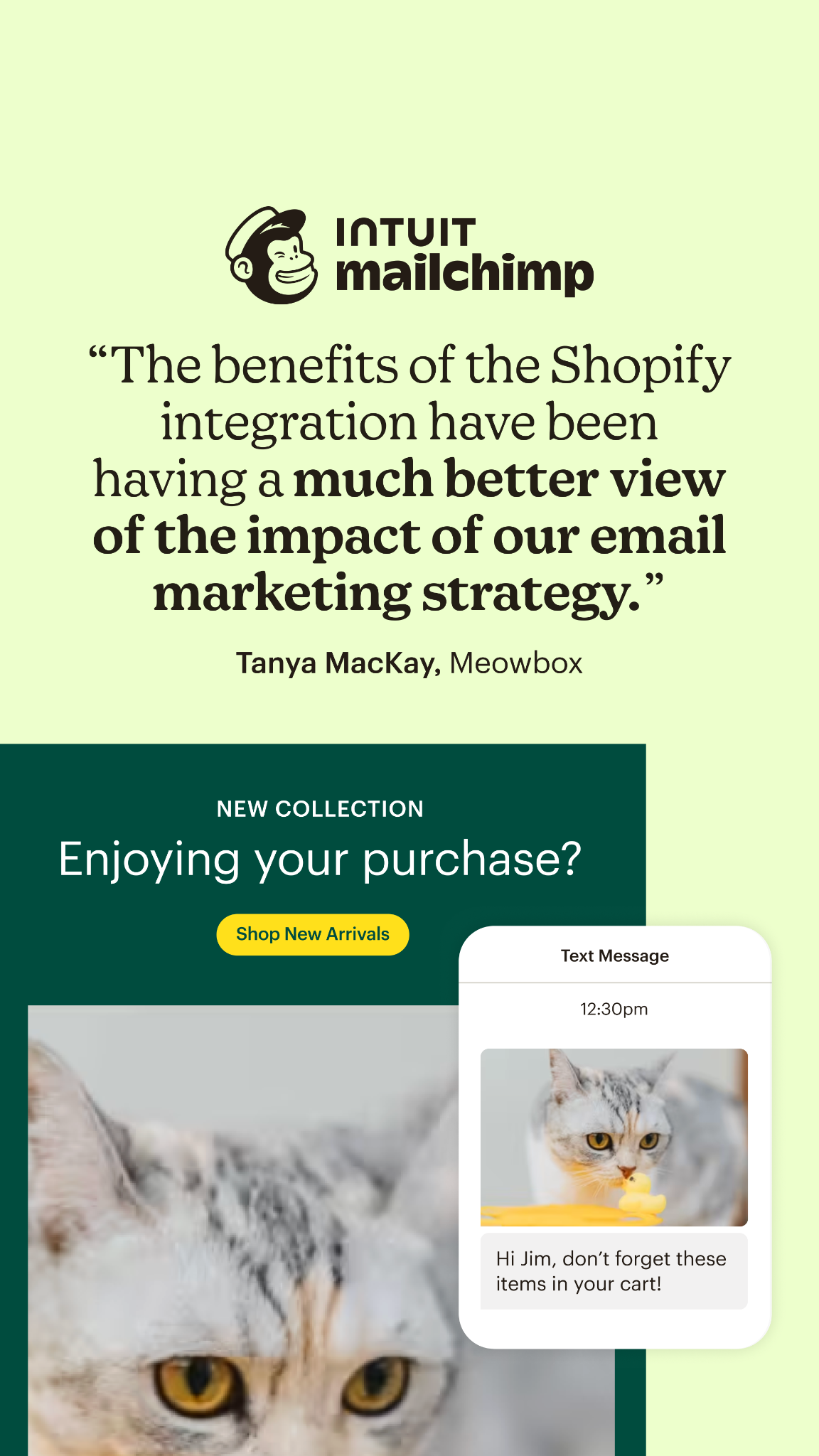 Intuit Mailchimp Facebook ad