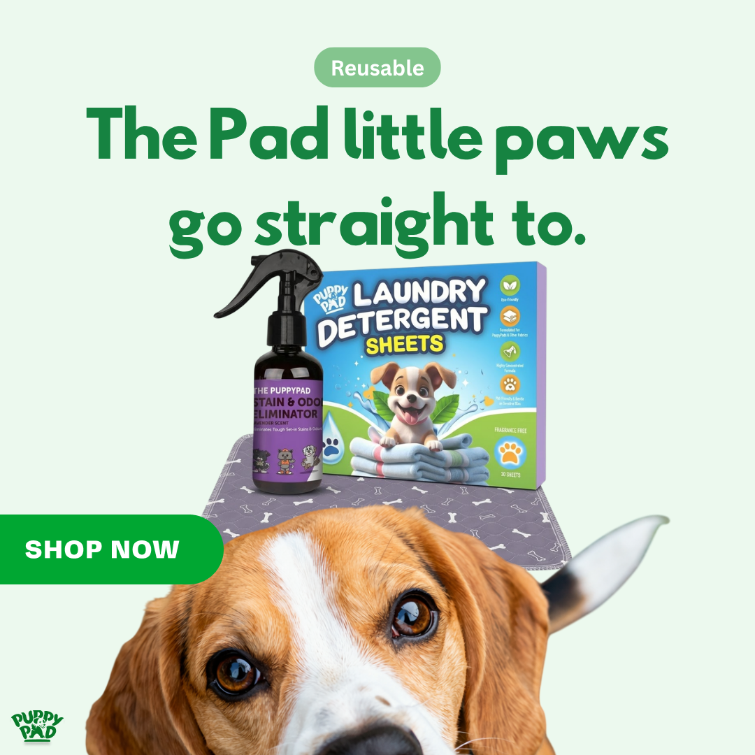 PuppyPad Facebook ad