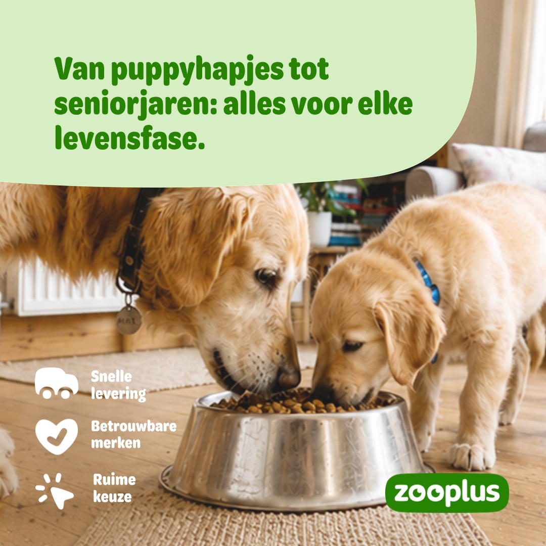 zooplus Facebook ad