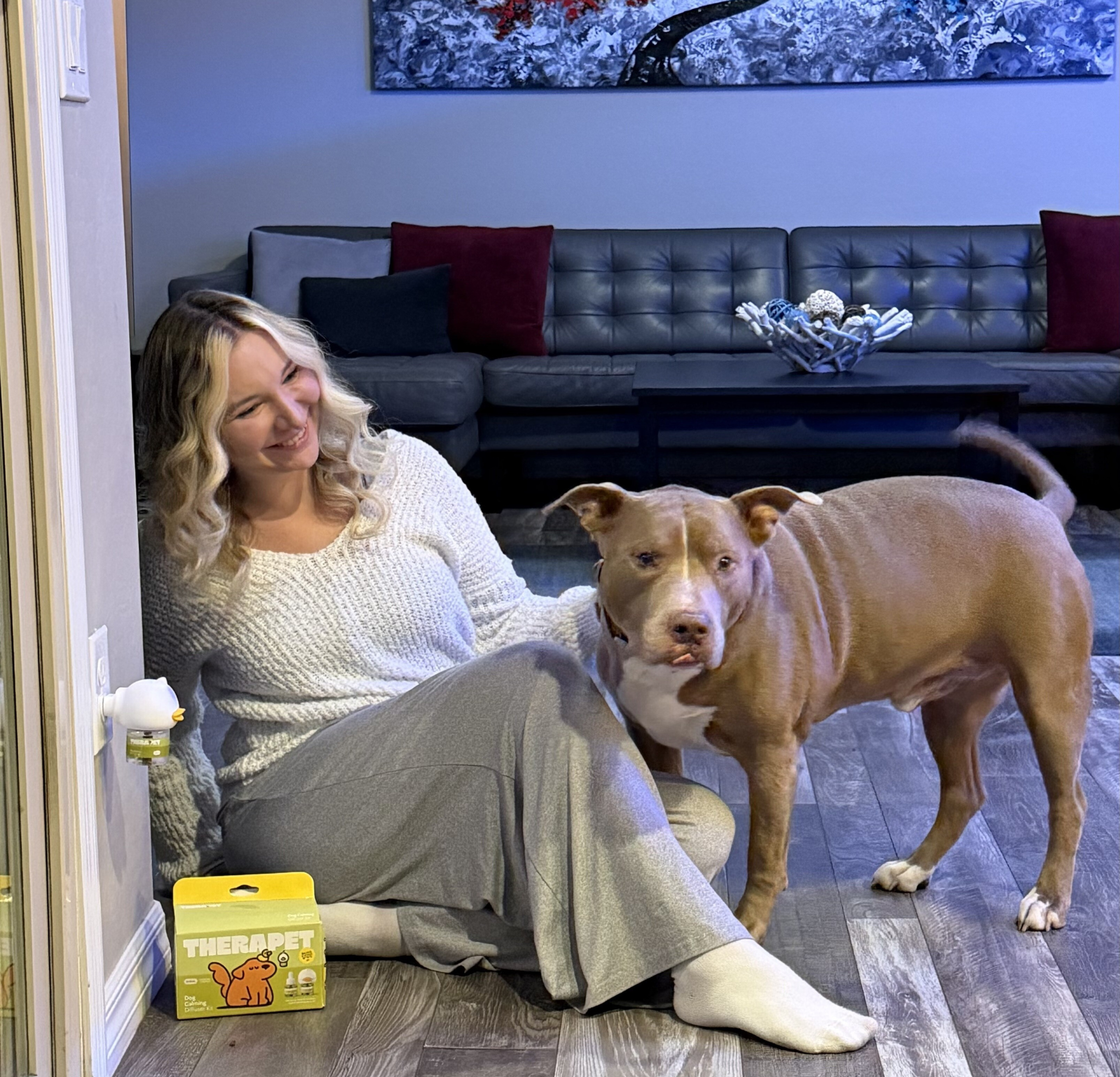 Vet Life Magazine Facebook ad