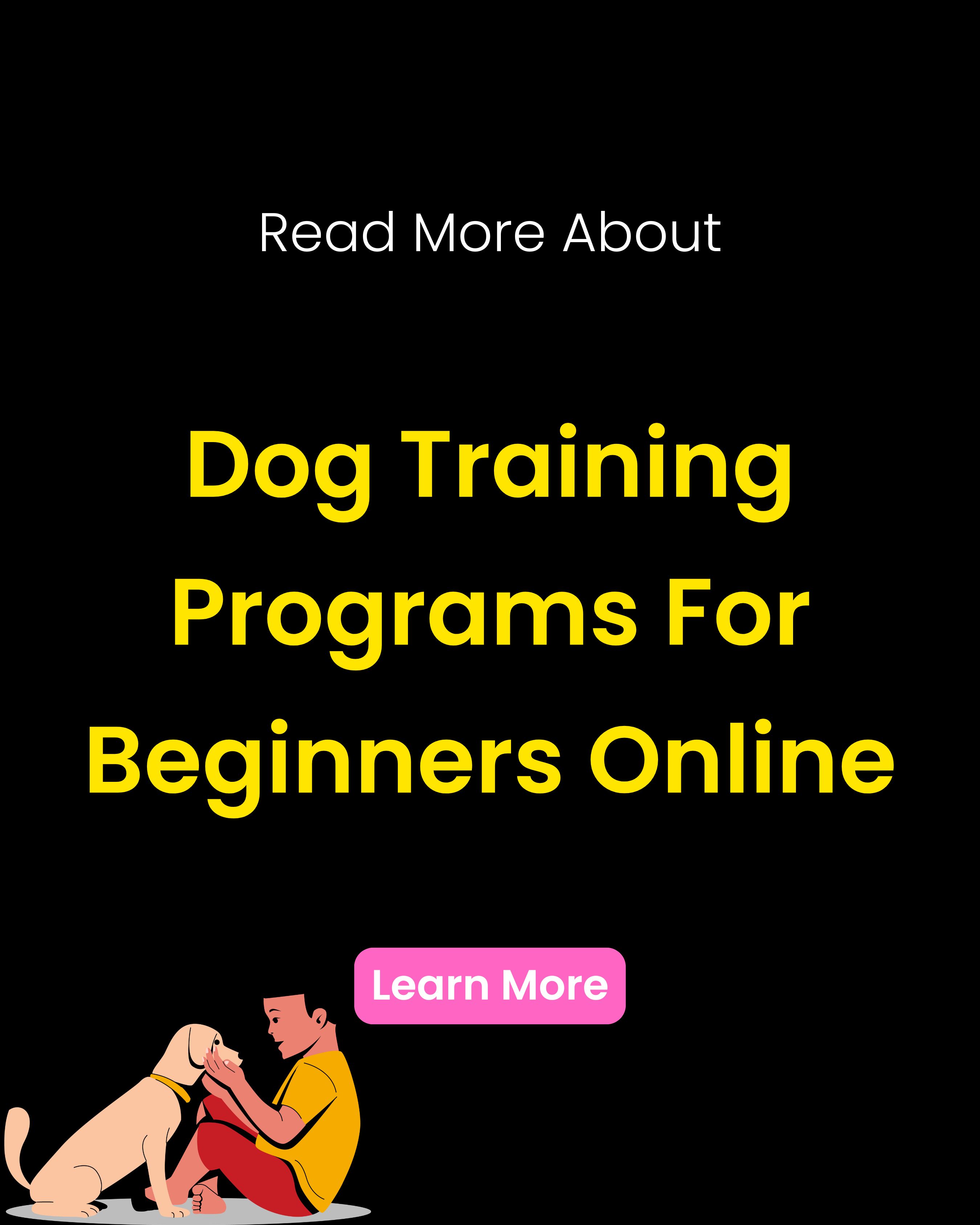 All The Way Facebook ad: Learn About Beginner Friendly Online Dog Training.