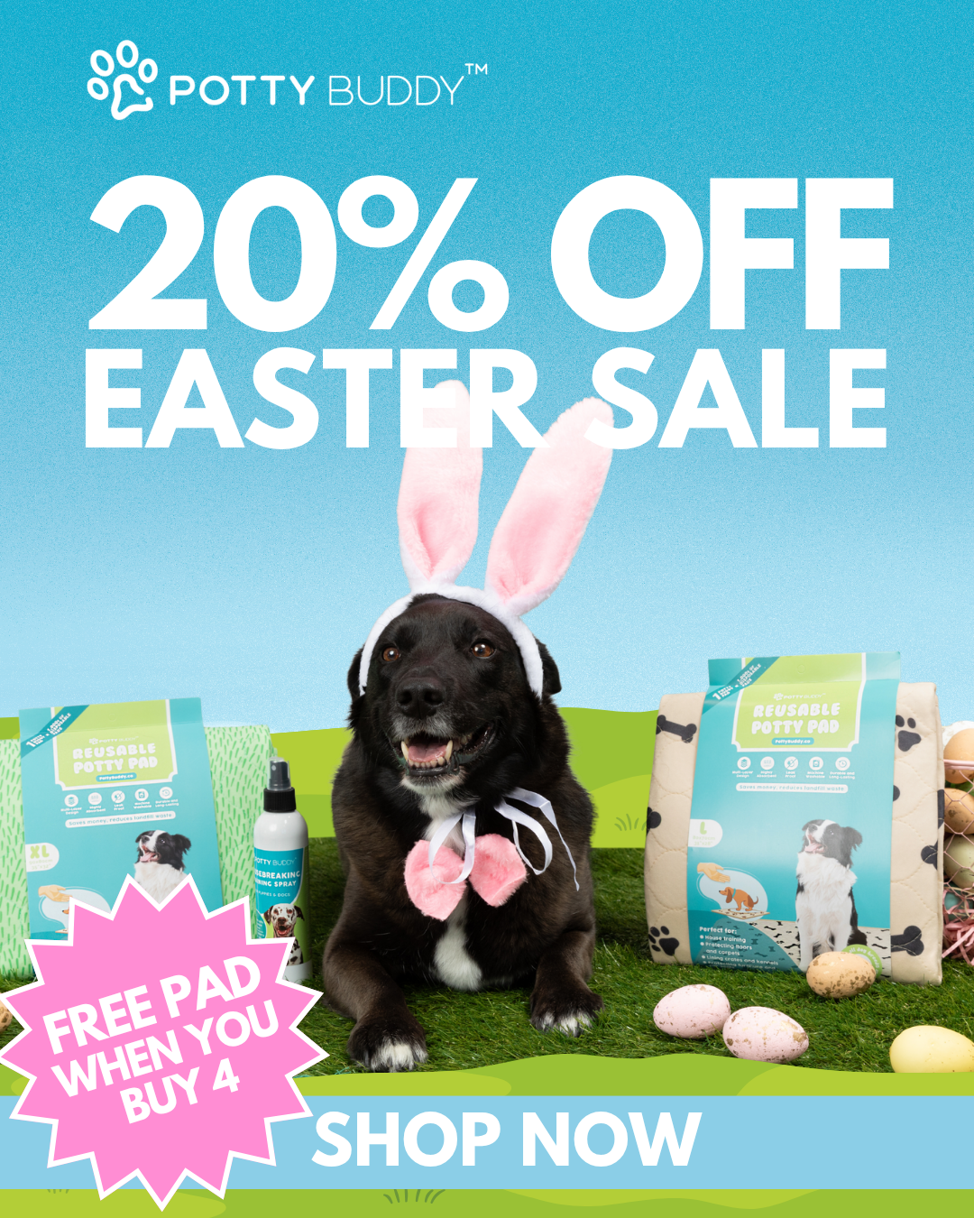 Potty Buddy Facebook ad