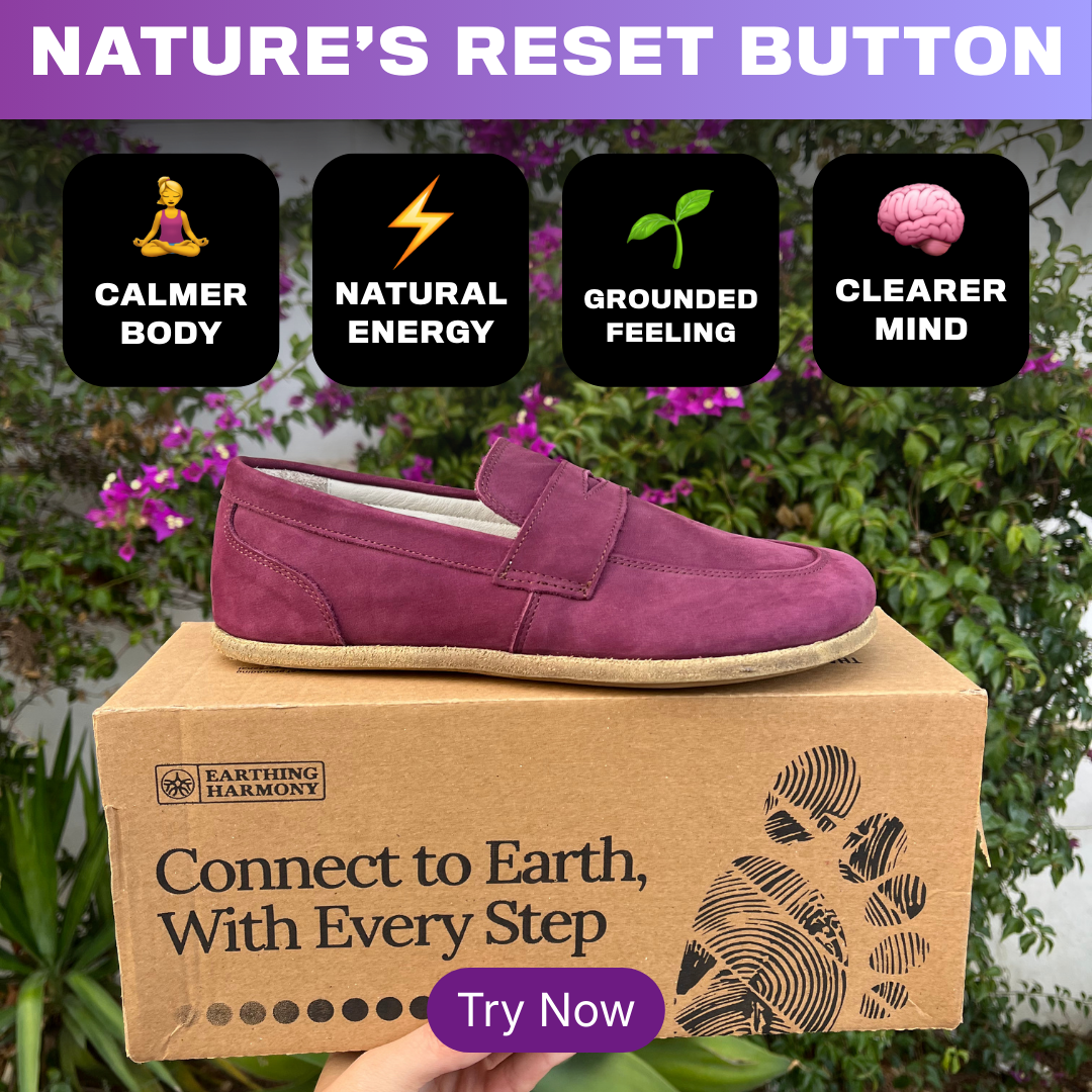 Earthing Harmony Facebook ad