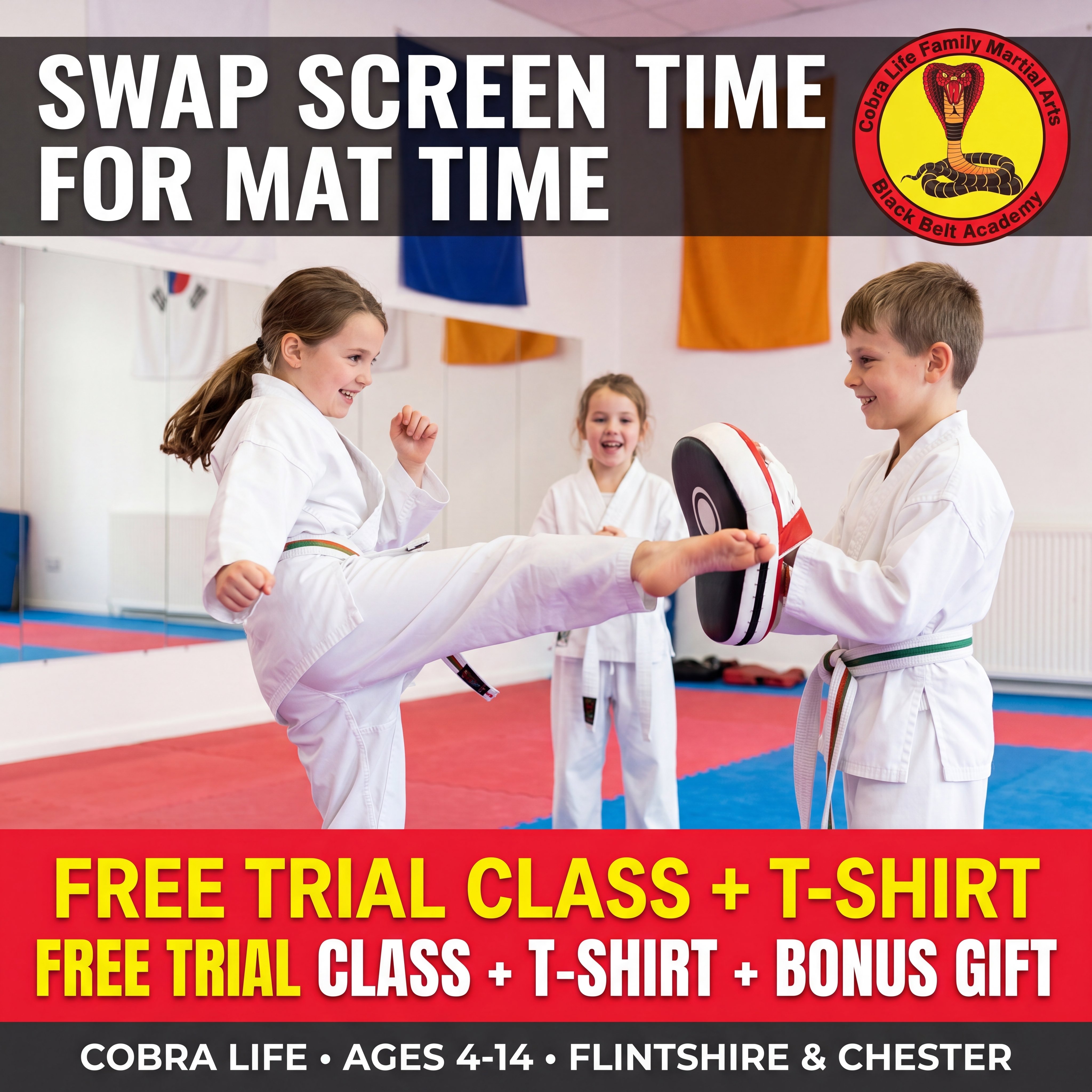 Cobra Life Family Martial Arts Black Belt Academy Facebook ad