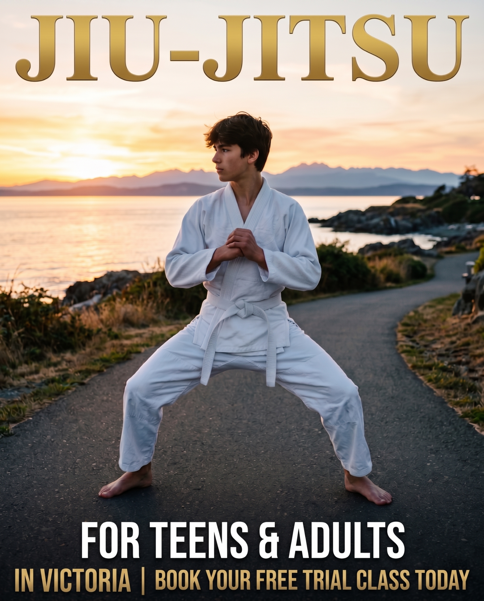 Van Isle Jiu Jitsu Academy Facebook ad