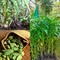 Badhel enterprises