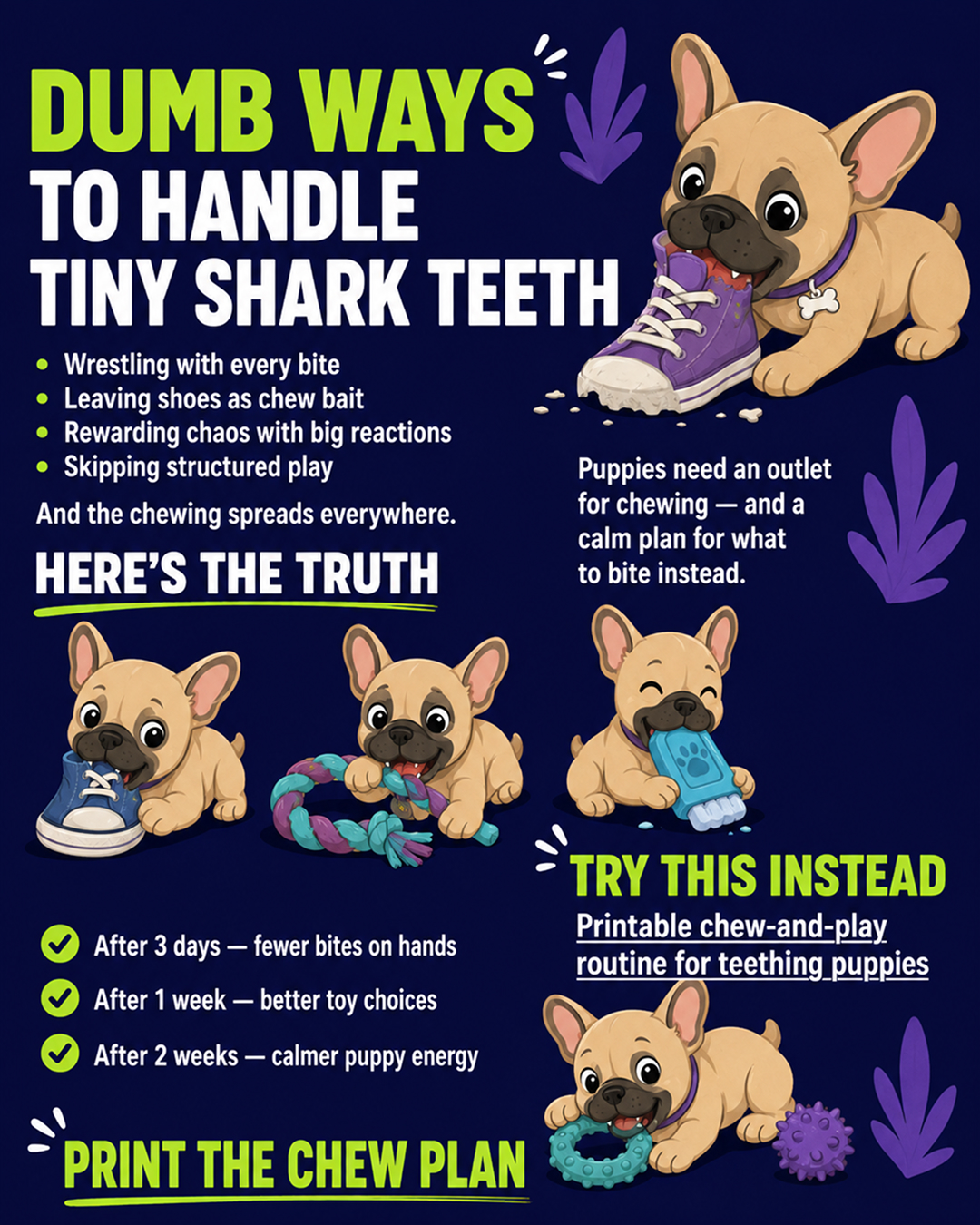 Puppy Tips for Training Facebook ad: Dog training doesn’t have to mean stress, barking…