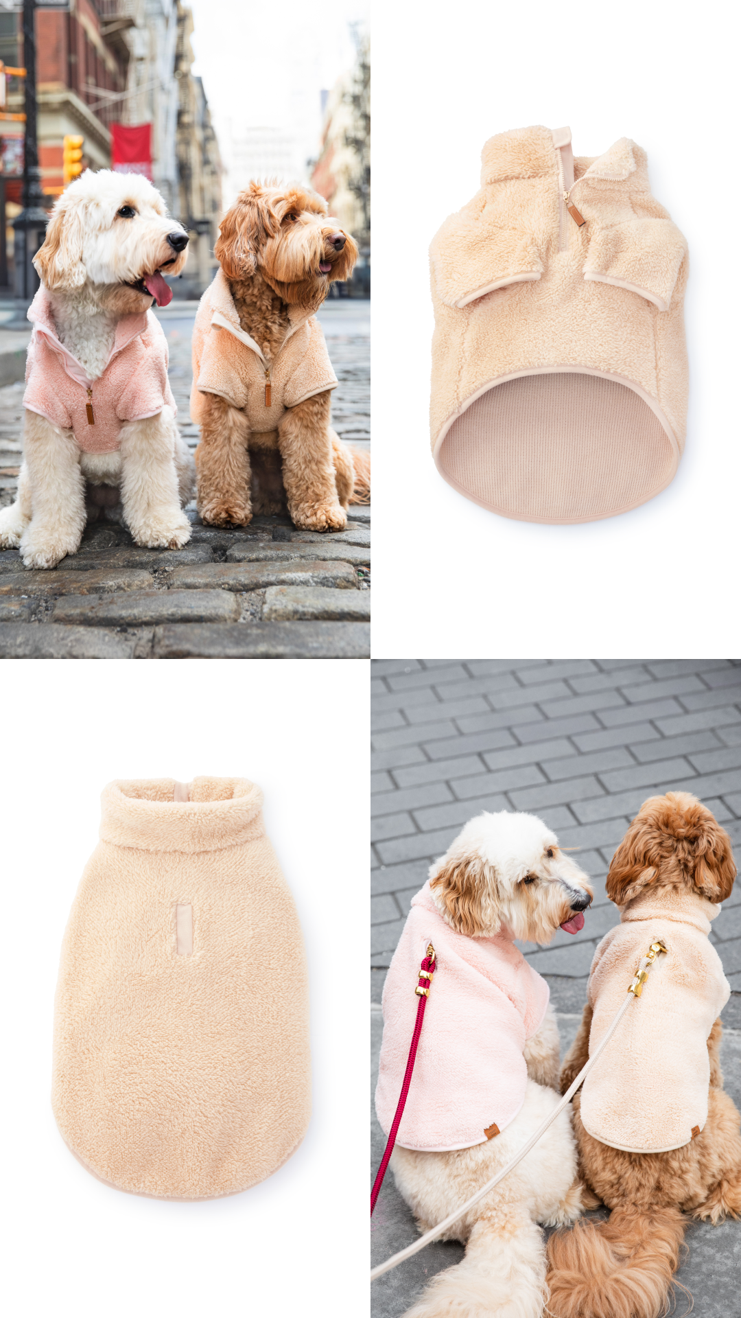 The Foggy Dog Facebook ad