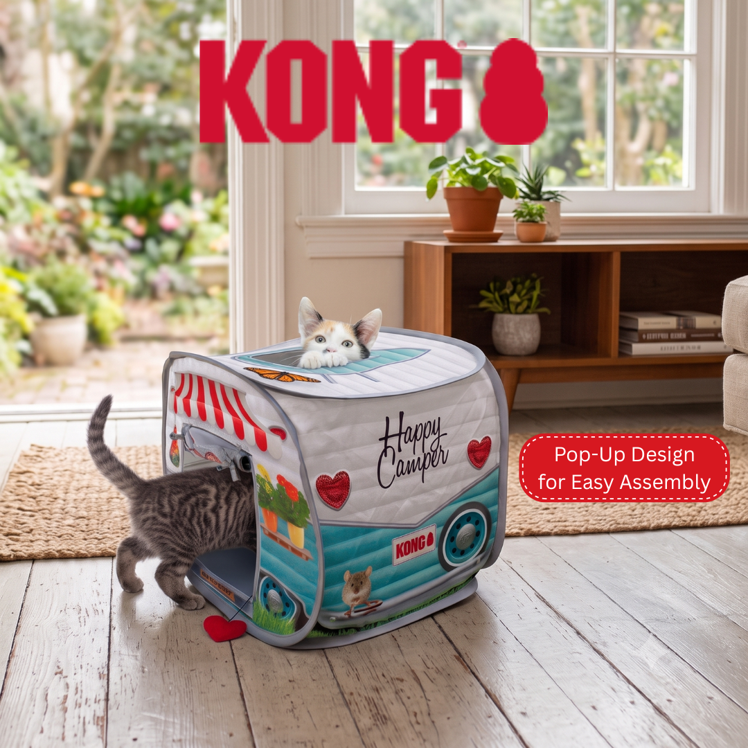 KONG Facebook ad