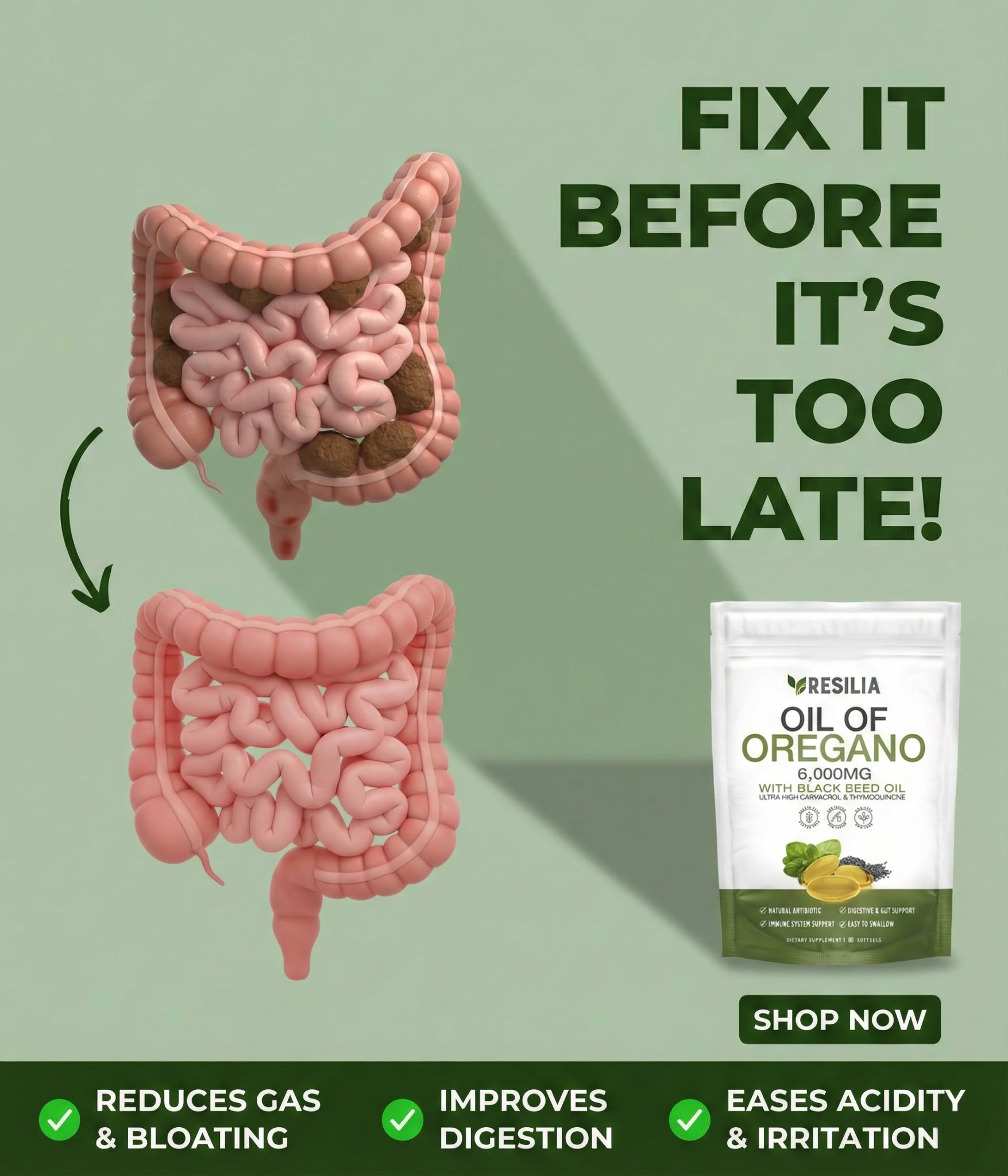 Nutritionist - Allison Langford, PhD Facebook ad