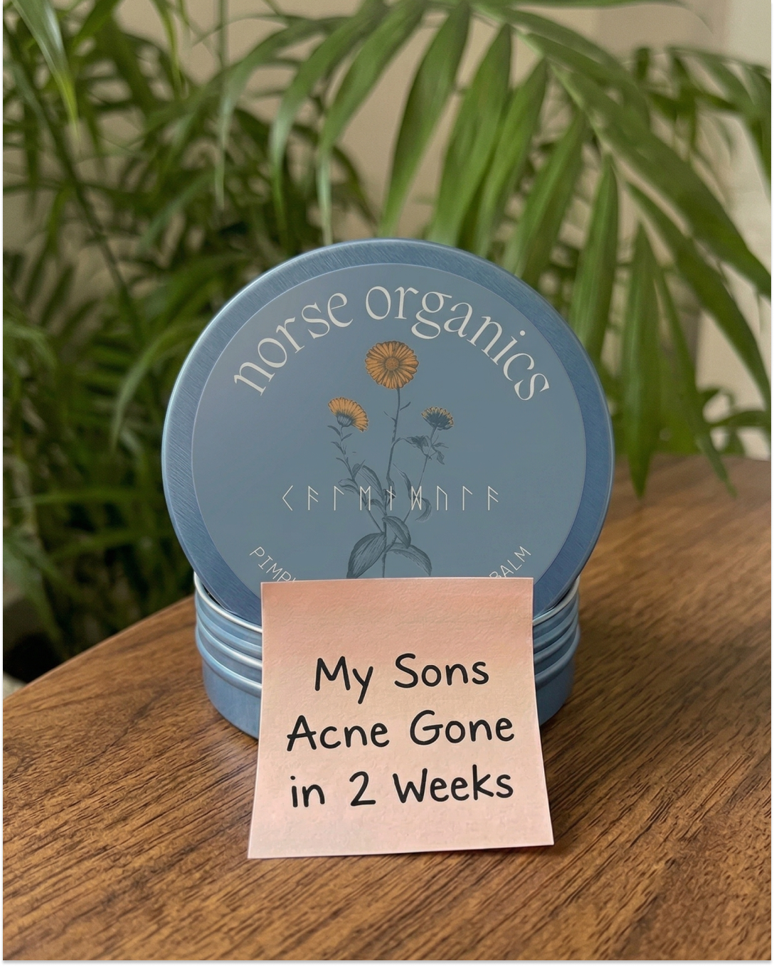 Anne's Skincare Blog Facebook ad