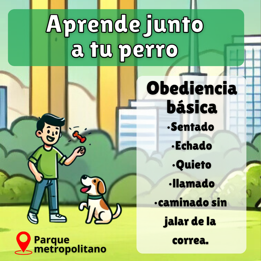Heel Adiestramiento Canino Facebook ad: Enséñale a tu perro