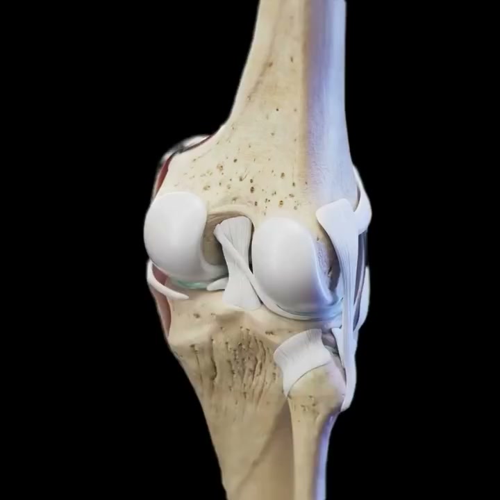 Recuperación de articulaciones - México Facebook ad: ¿Tus articulaciones intentan decirte algo?