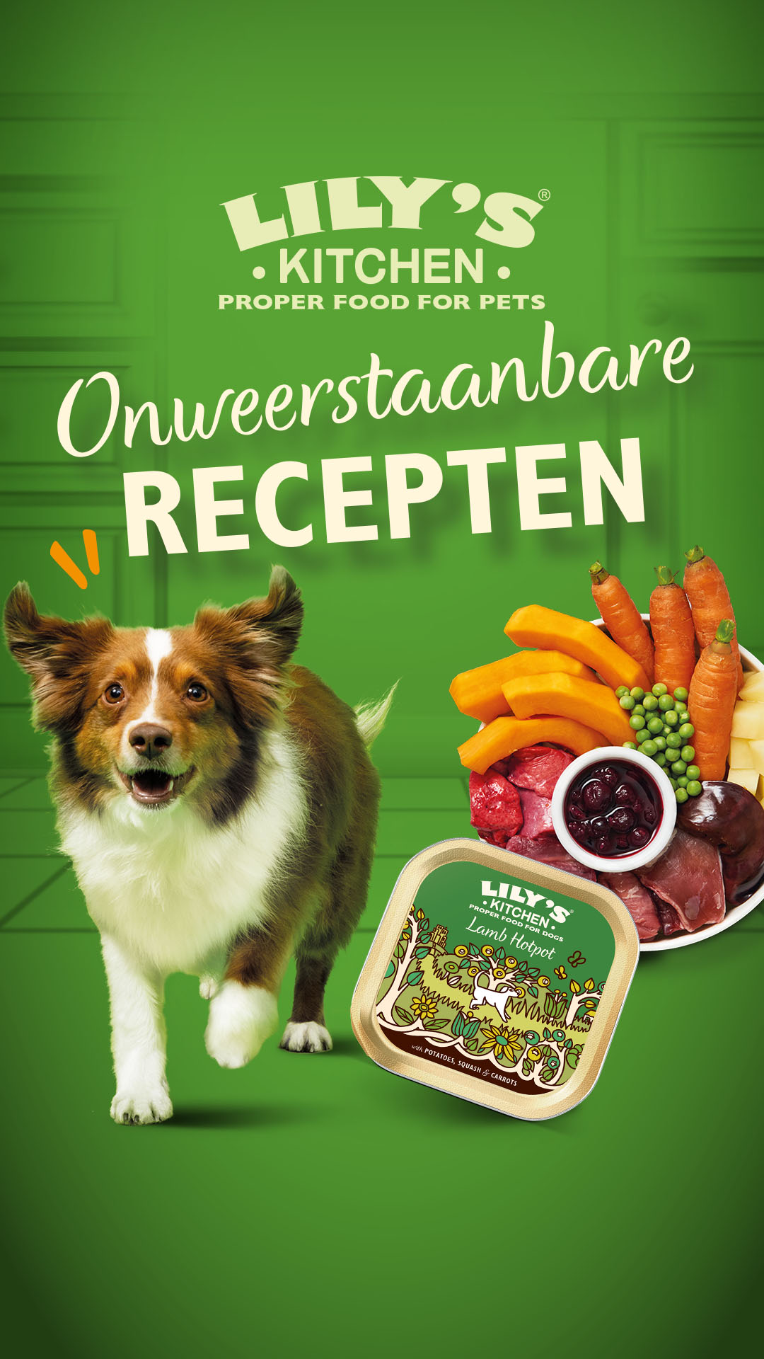 Lily's Kitchen Facebook ad