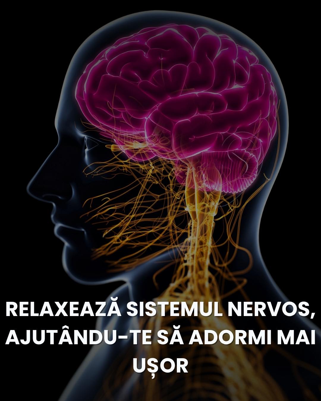 MYX Nutrition Facebook ad: Sănătate personalizată începe aici