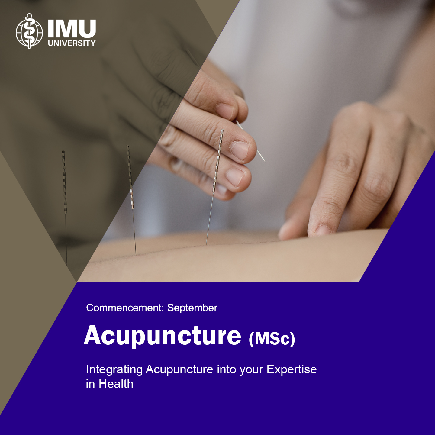 IMU University Global Facebook ad