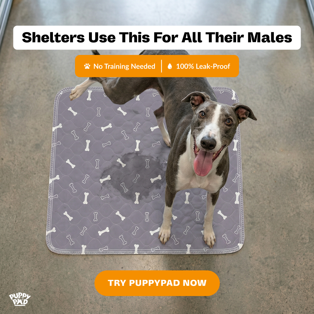 PuppyPad Facebook ad