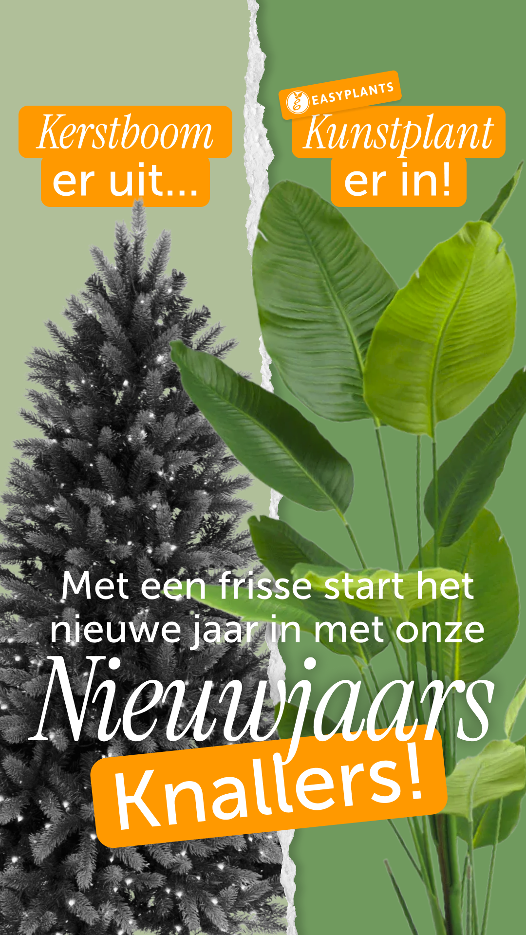 Easyplants Facebook ad
