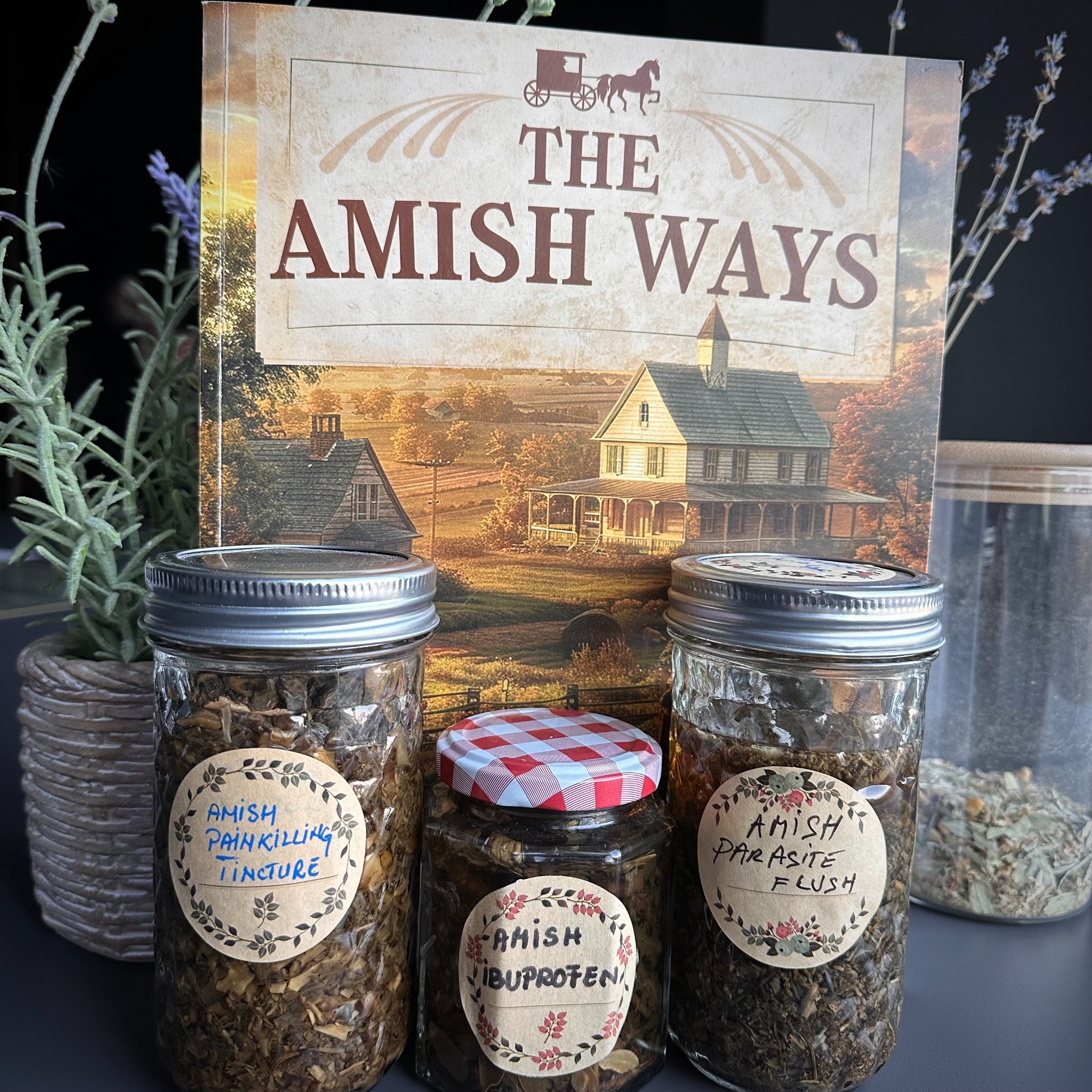 The Amish Ways Facebook ad