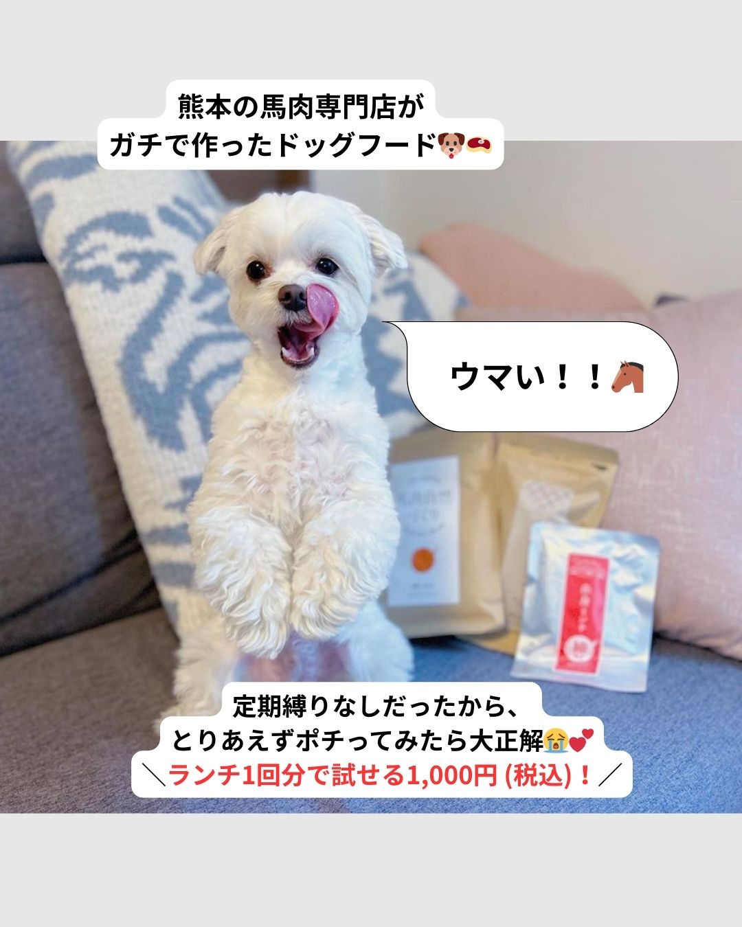 健康いぬ生活 Facebook ad