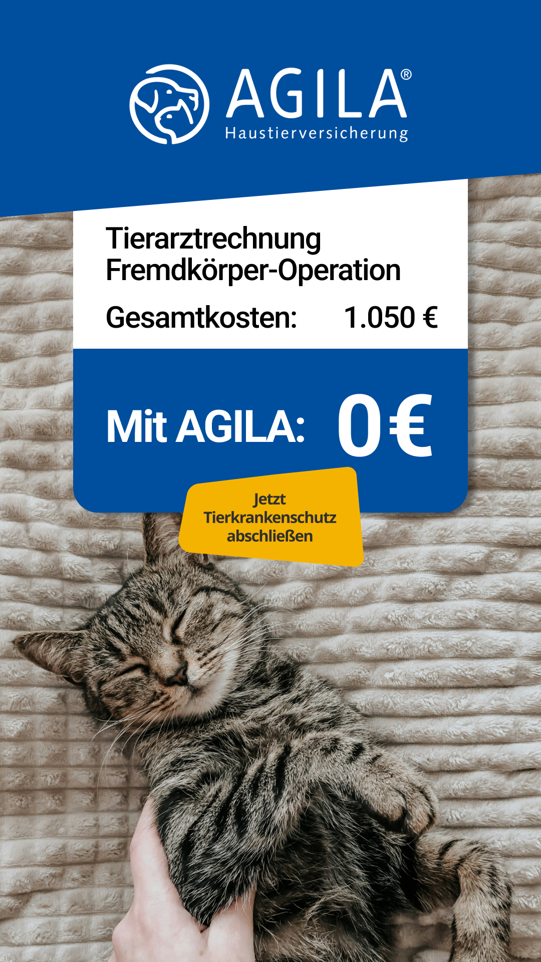 AGILA Haustierversicherung Facebook ad: AGILA Katzenversicherung