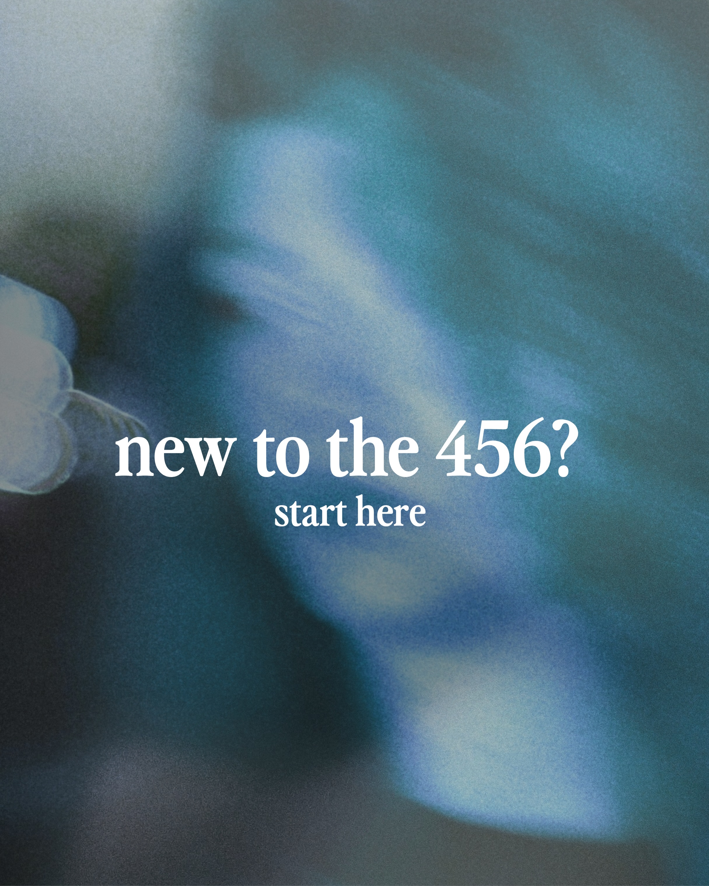 456social Facebook ad: link in bio