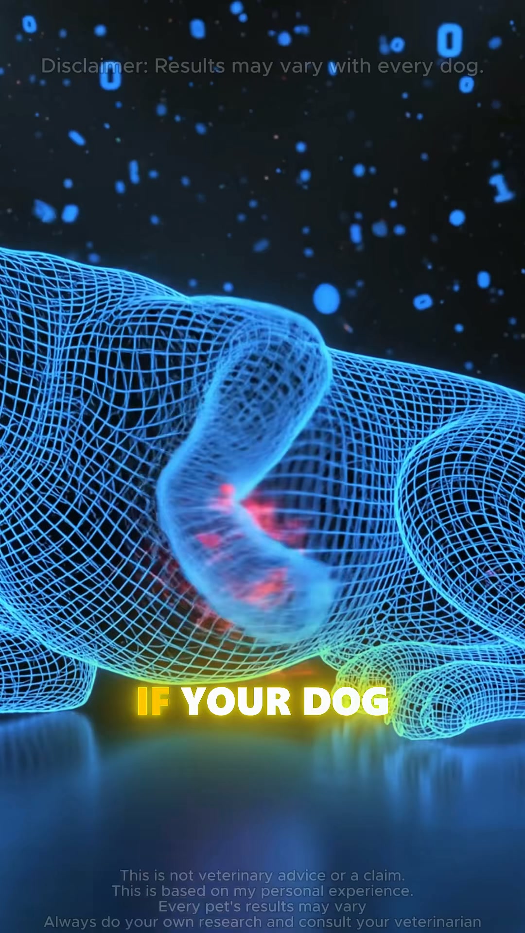 Puainta Pets Facebook ad: Vet-Recommended Care for Sensitive Skin