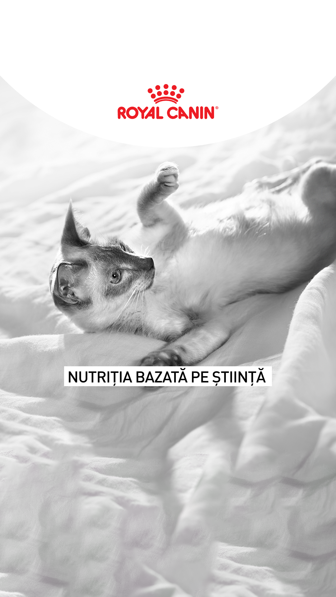 Royal Canin Facebook ad from Jun 5, 2026