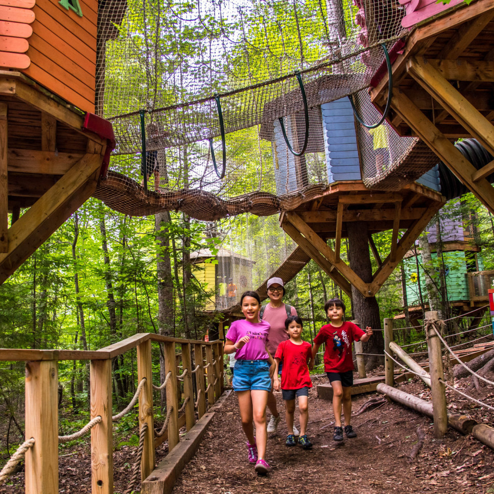 Treetop Trekking Facebook ad