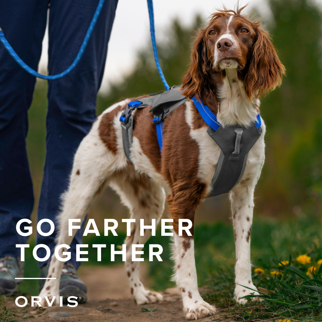 Orvis Facebook ad