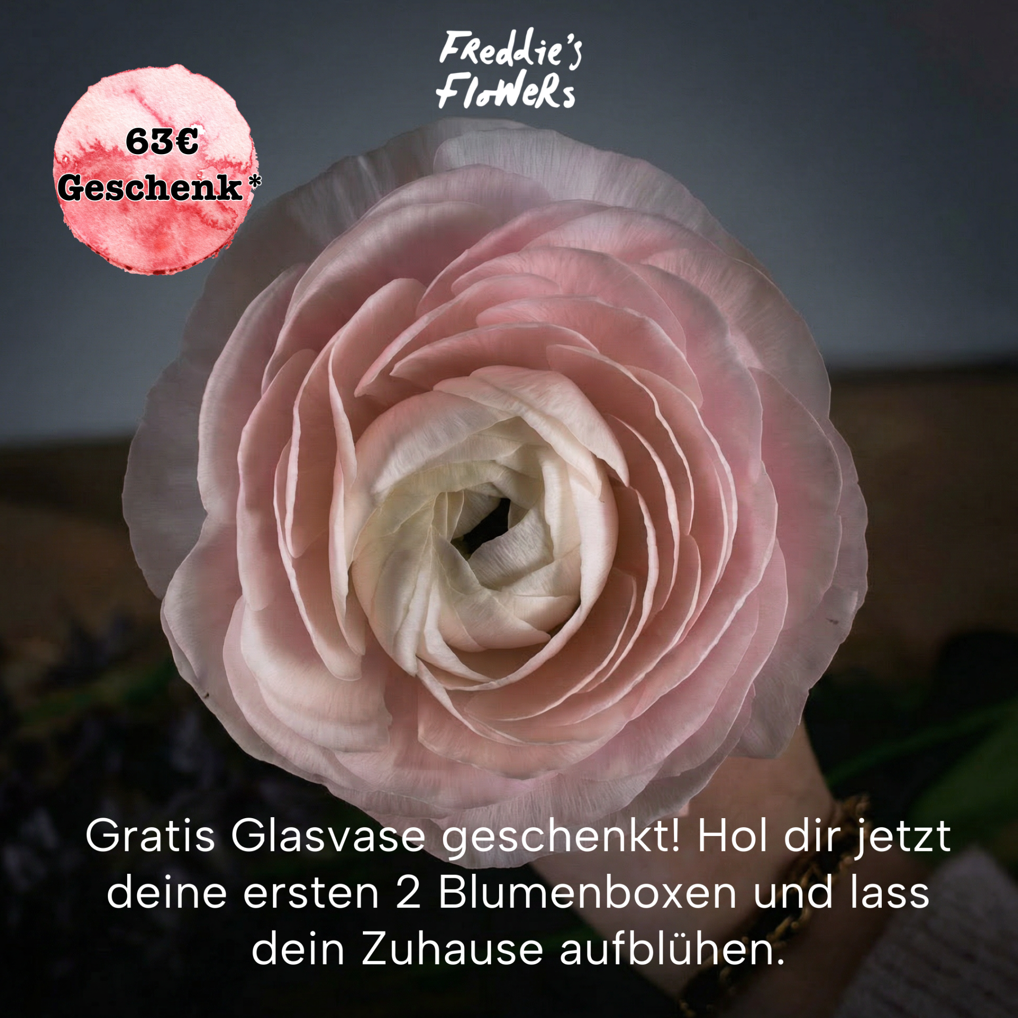 Freddie's Flowers Facebook ad