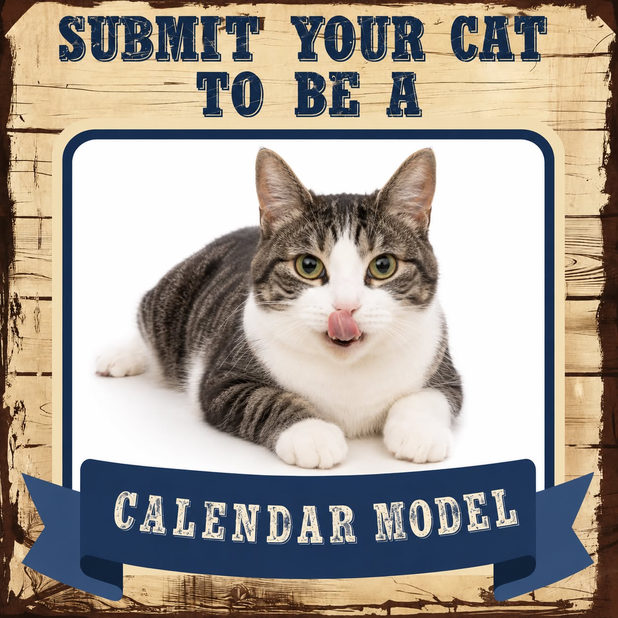 Pawidols Facebook ad: Your Pet Could Be a Calendar Star!