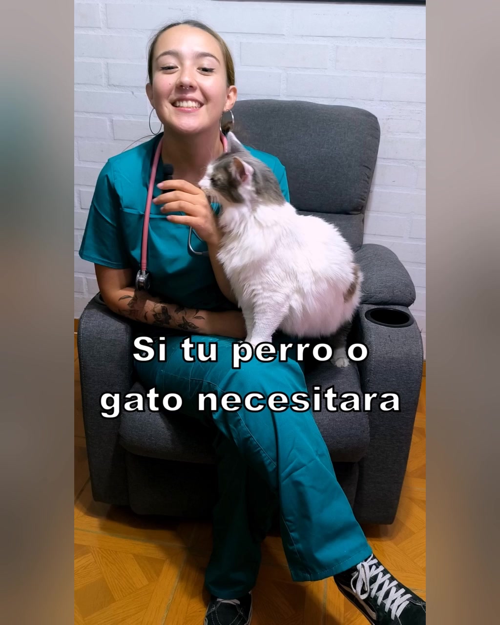 GramVet Médico Veterinario a Domicilio V Región Facebook ad: Agenda tu visita para hoy