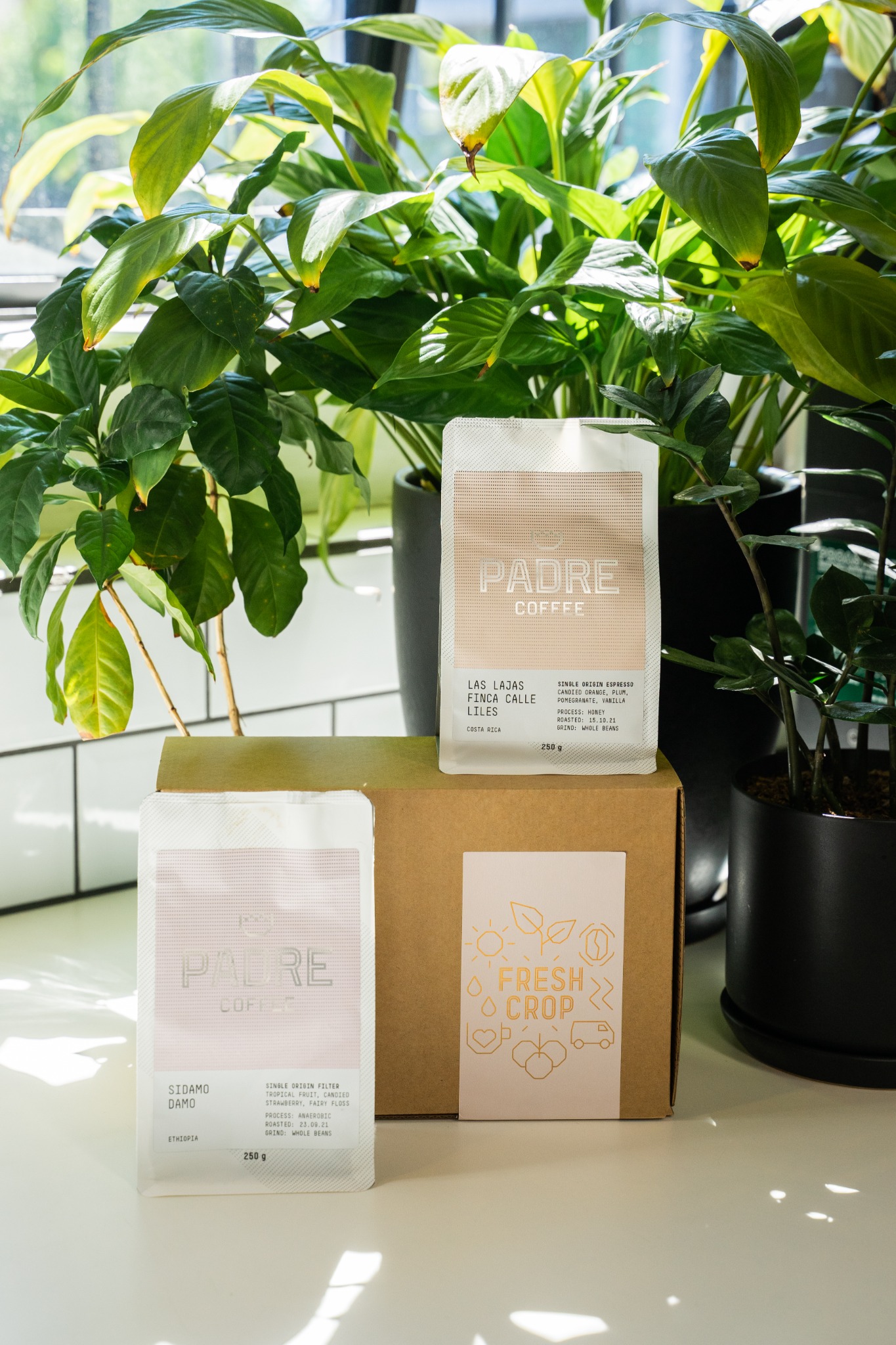 Padre Coffee Facebook ad