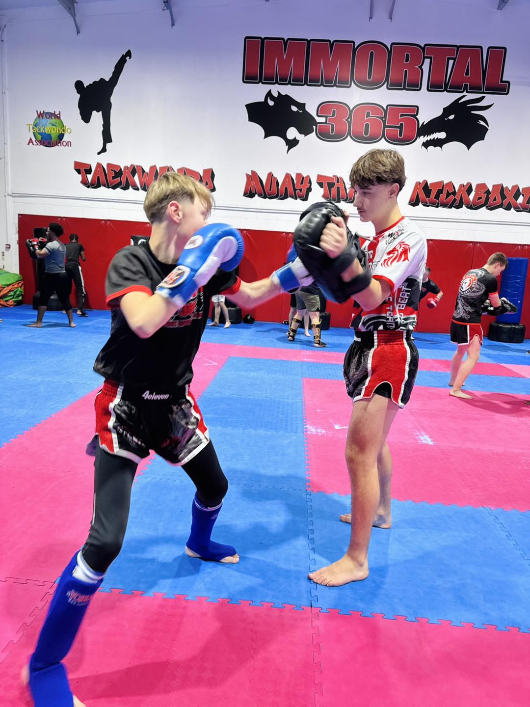 Immortal 365 Family Martial Arts  & Fitness Academy Facebook ad